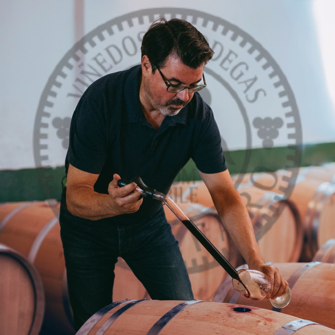 Rodolfo Valiente, Bodegas Vegalfaro